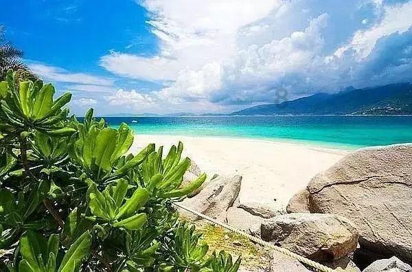 奥莉的夏威夷之旅