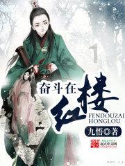 孤独的流浪者救援