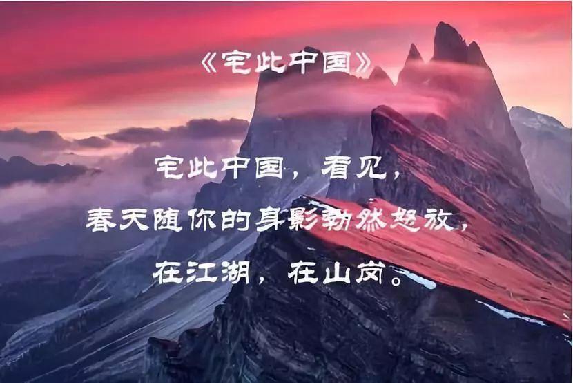 数读中国 | 税收大数据，透视高质量发展新亮点